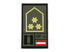 STEINADLER STEINADLER Hauptmann Rank gewebt