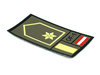 STEINADLER STEINADLER Leutnant Rank gewebt