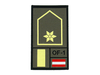 STEINADLER STEINADLER Leutnant Rank gewebt
