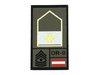 STEINADLER STEINADLER Vizeleutnant Rank gewebt