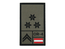 STEINADLER Zugsführer Rank gewebt